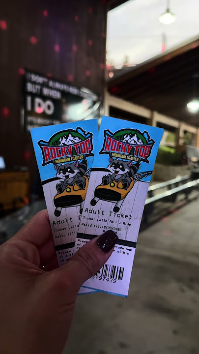 The BEST   LONGEST mountain coaster in Gatlinburg, TN