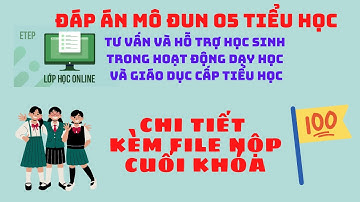 Đáp án mô đun 5 Tiểu học đầy đủ nhất | Kèm File sản phẩm cuối khóa