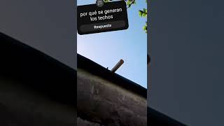 17 de noviembre de 2024