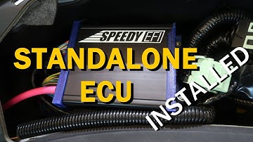 Wired SpeedyEFI ECU Speeduino Fishdog - 2JZ to E46 Conversion