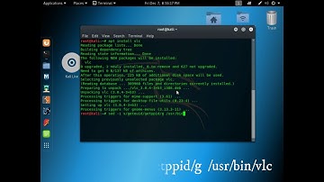 Solved:vlc player not opening