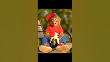 Banana Is Life! (Monkey Edition) #shorts #viral #trending #funny #ai
