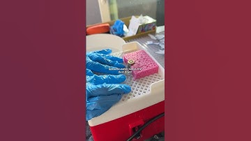 Stained Glass Grinding 101 🌿 How to Make Stained Glass