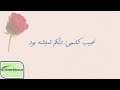 نجیب کشمی دلکم شیشه بود بگشته خیره