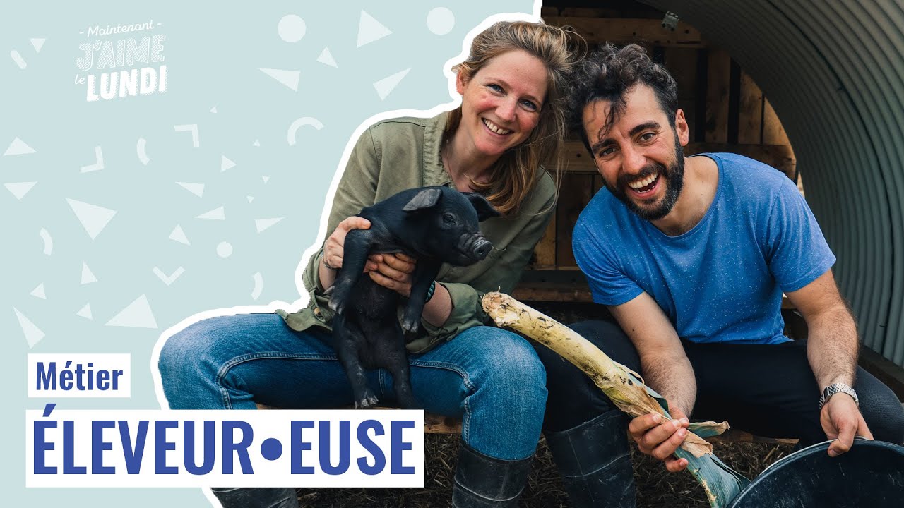 MÉTIER ÉLEVEUR : quotidien d’un éleveur, salaire et démarches pour se lancer