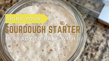 When is your sourdough starter ready to bake with?