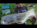 Fishing for HUGE CATFISH using a Deeper Fishfinder | TAFishing