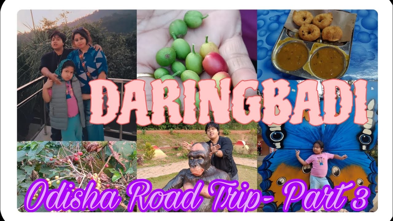PART - 3...DARINGBADI KASHMIR OF ODISHA || Coffee ☕ Garden 🏡 || Hill View Park 🏞️