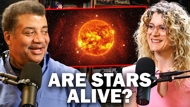 What is Sara Imari Walker's Definition of 'Life'?