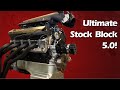 The Ultimate Stock Block 5.0 Ford Build (347 Stroker V8)