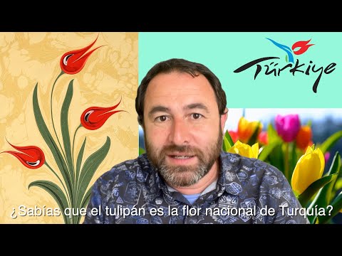 ¿Sabías que el tulipán es la flor nacional de Turquía?