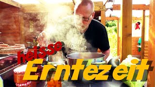 Erntezeit Teil 2 / jetzt wird's heiß, Kürbis, Zucchini und Paprika süß-sauer einlegen