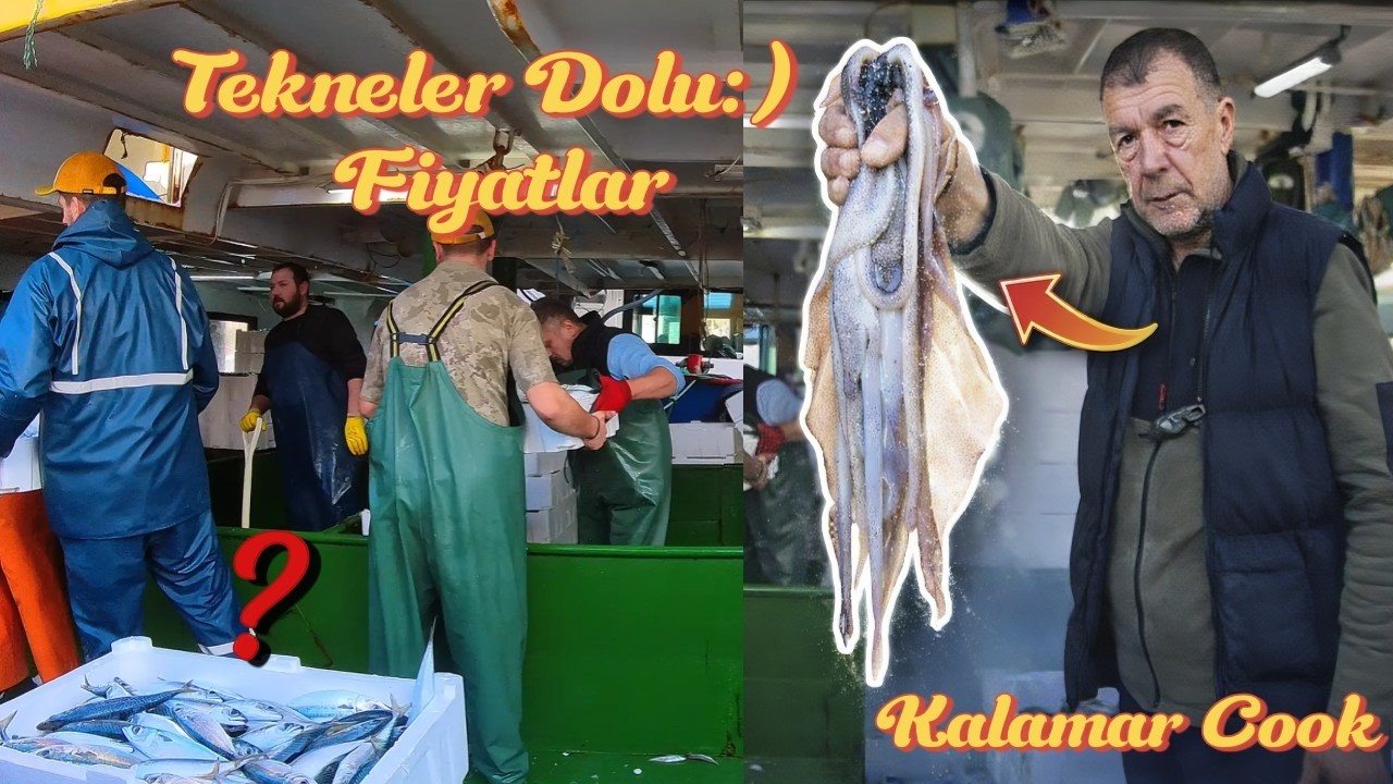 Kalamar Cook & Günlük Balık Fiyatları | Liman Vlog