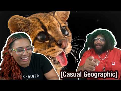 Costa Rica Is A Magical Place! |  Are Casually Geographic Reaction! 