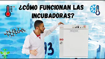 ¿Cuál es la función de la incubadora en el laboratorio?