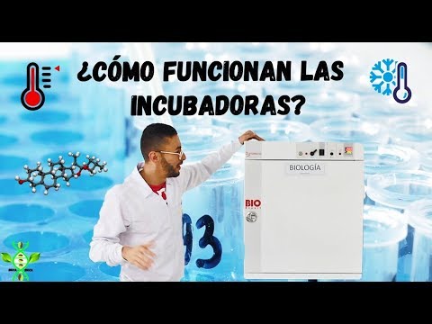 Video: ¿Cuál es la principal diferencia entre incubadora y horno?