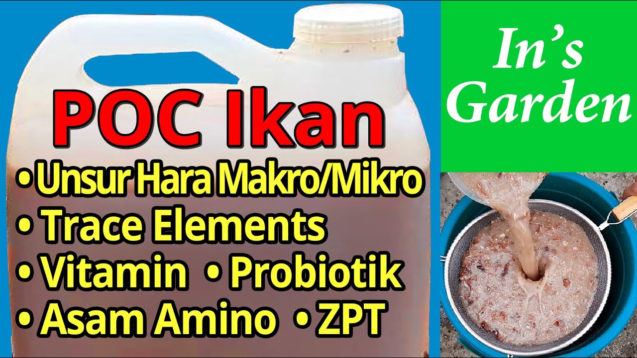 Cara Membuat POC Ikan | Unsur Hara Makro/Mikro, Trace Elements, Asam Amino, Vitamin, Probiotik, ZPT