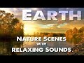 Earth is Amazing #1 - A collection of various relaxing nature scenes with sounds