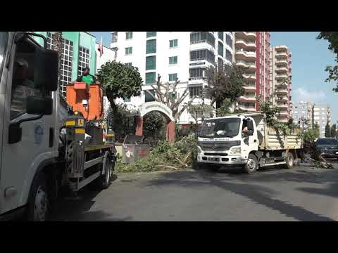 YouTube video onizleme