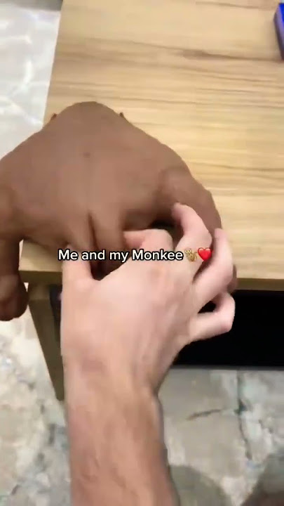 Me and my monkey