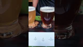 8 days in New Zealand (south island highlights)
