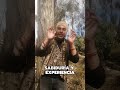 Lectura de Tarot LEO ♌ #leo #tarot #horoscopo #suerte #amawta