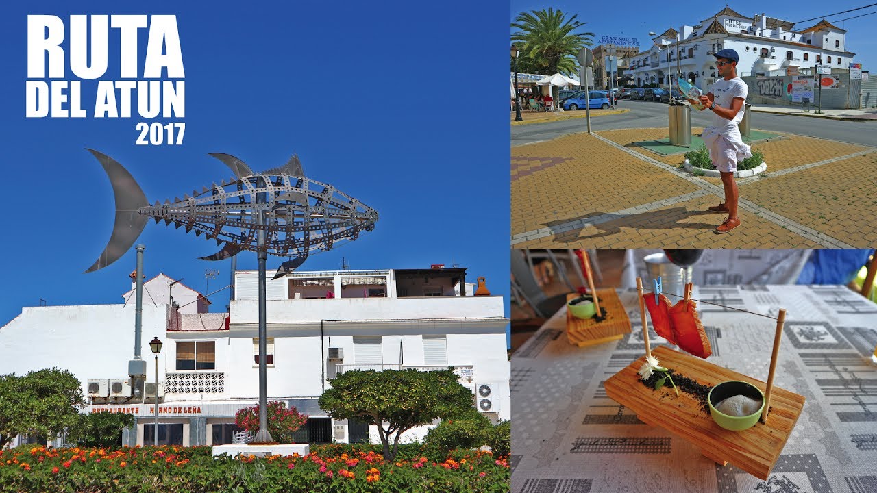 Ruta Del Atun 2017 | Mama Lotties