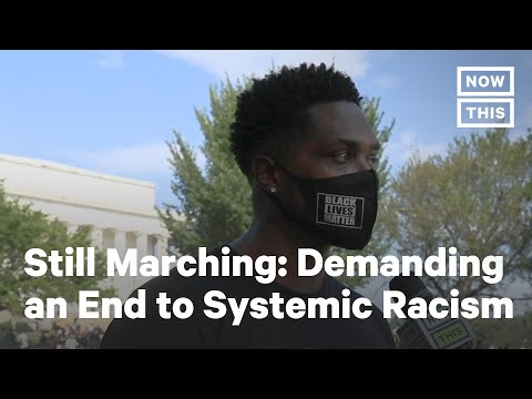 Video: Tisíce marca vo Washingtone, D.C., na ukončenie diskriminácie a zneužívania Pit Bulls