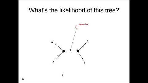Computing the Phylogenetic Likelihood