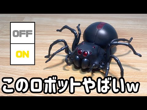 くも 6122Fvm6OUL._UF894,1000_QL80_.jpg