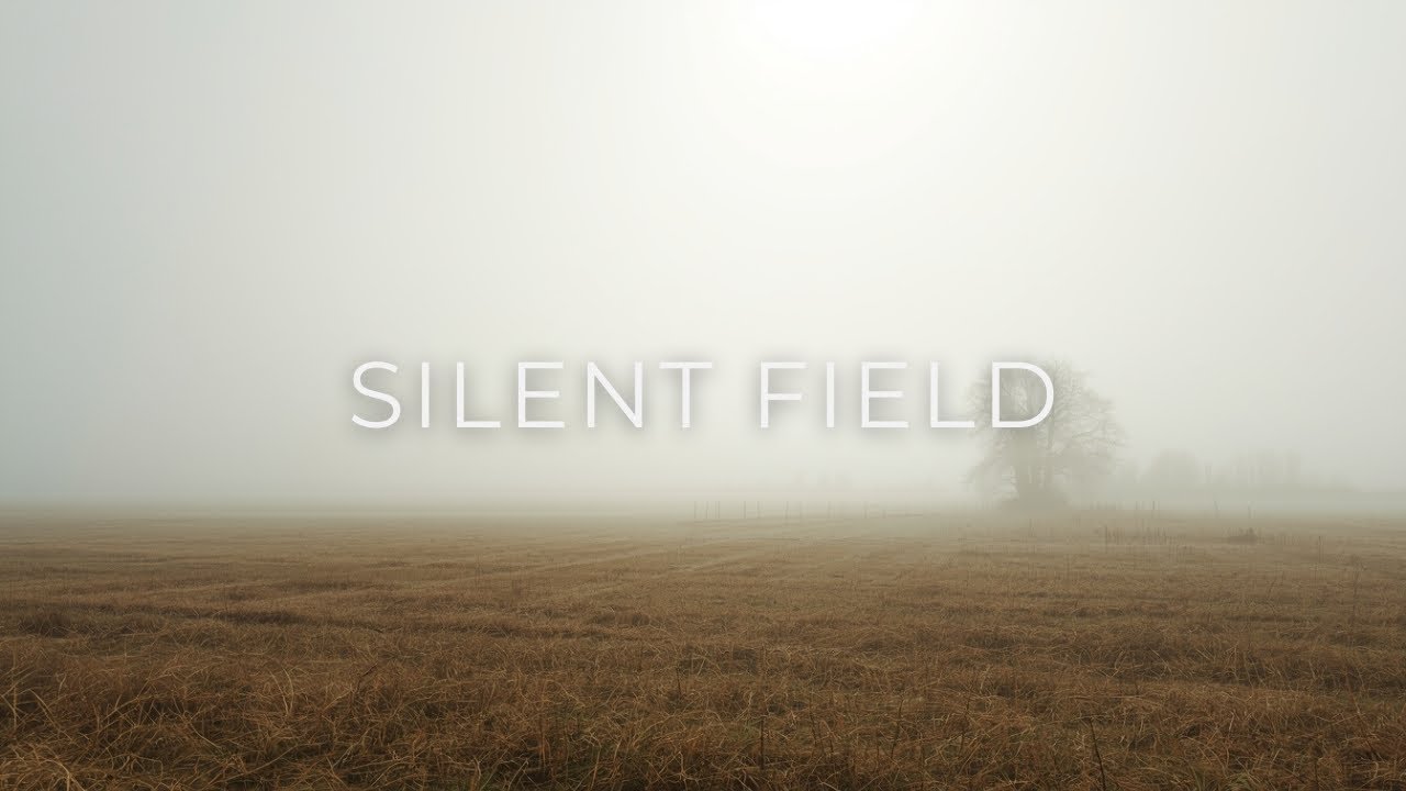 Silent Field — Calm Violin & Cello for Deep Sleep, Focus & Inner Peace