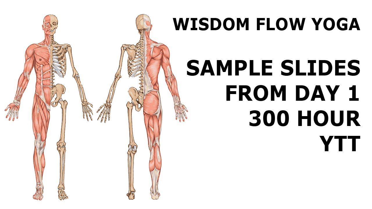 Wisdom Flow Yoga - 300hr YTT - Slide Samples