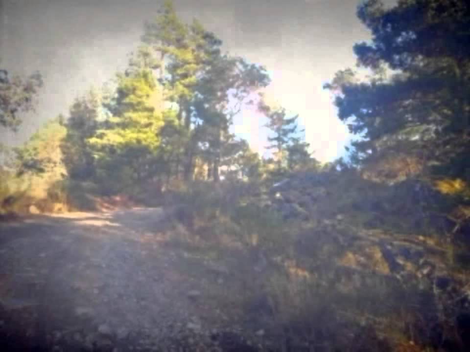 A Brief Suburban Hiking Adventure