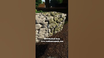 Minecraft 1.21.8 JAVA with HD Realistic texture pack from www.realsourcepack.com and SEUS Renewed