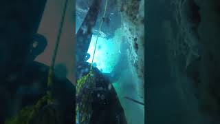 Με Qr code για ψάρεμα 🌊 μπαίνει στο Gav!😝😂#gov#spearfishing #ψαρεμα #ελλαδα #yt #shorts