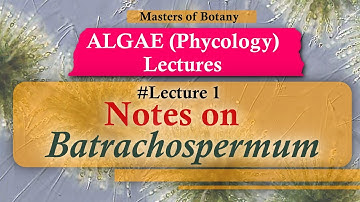 Lecture 1 | Batrachospermum  Life Cycle (Rhodophyceae) | Algae (Phycology) Lecture + Notes