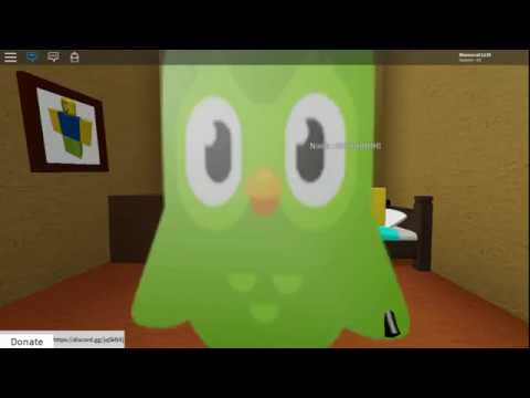 the duolingo story roblox