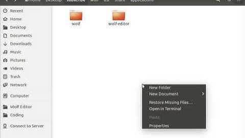 How to build Wolf Editor Debian package