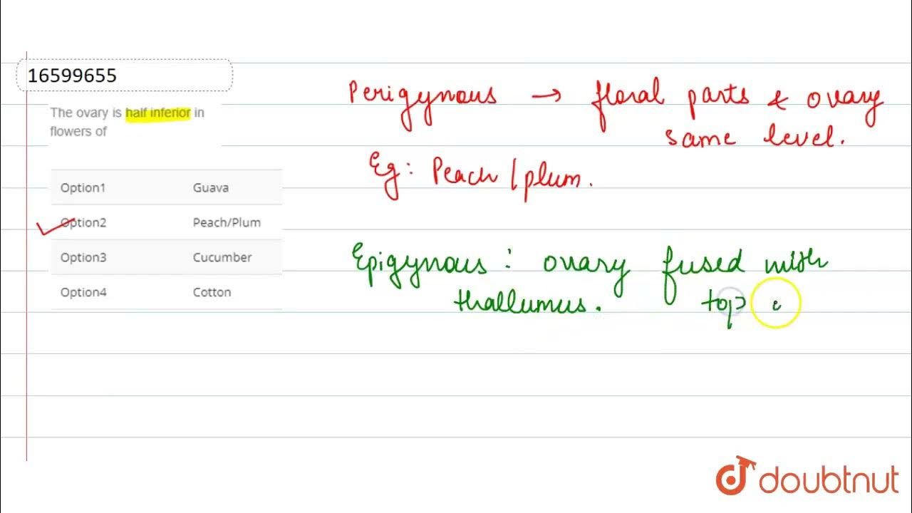 The ovary is half inferior in flowers of 11 MORPHOLOGY OF FLOWERING