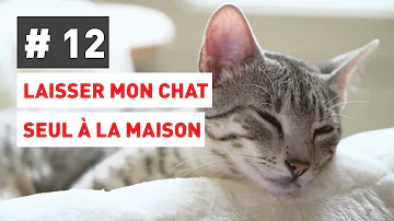 Est-ce qu'un chat peut rester 2 jours seul ?