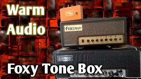 Foxy Tone Box Fuzz from Warm Audio Demo/Review