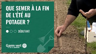 [TUTO] Que semer à la fin de l’été au potager ? – Jardinerie Gamm vert