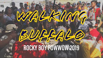 WALKING BUFFALO CROW HOP @ Rocky Boy Powwow 2019 (2)