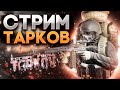 129 День поднятия онлайна с 0 | Solo Gaming | PvP | +w | Ивент