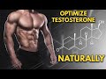 How To Optimize Your Natural Testosterone Levels