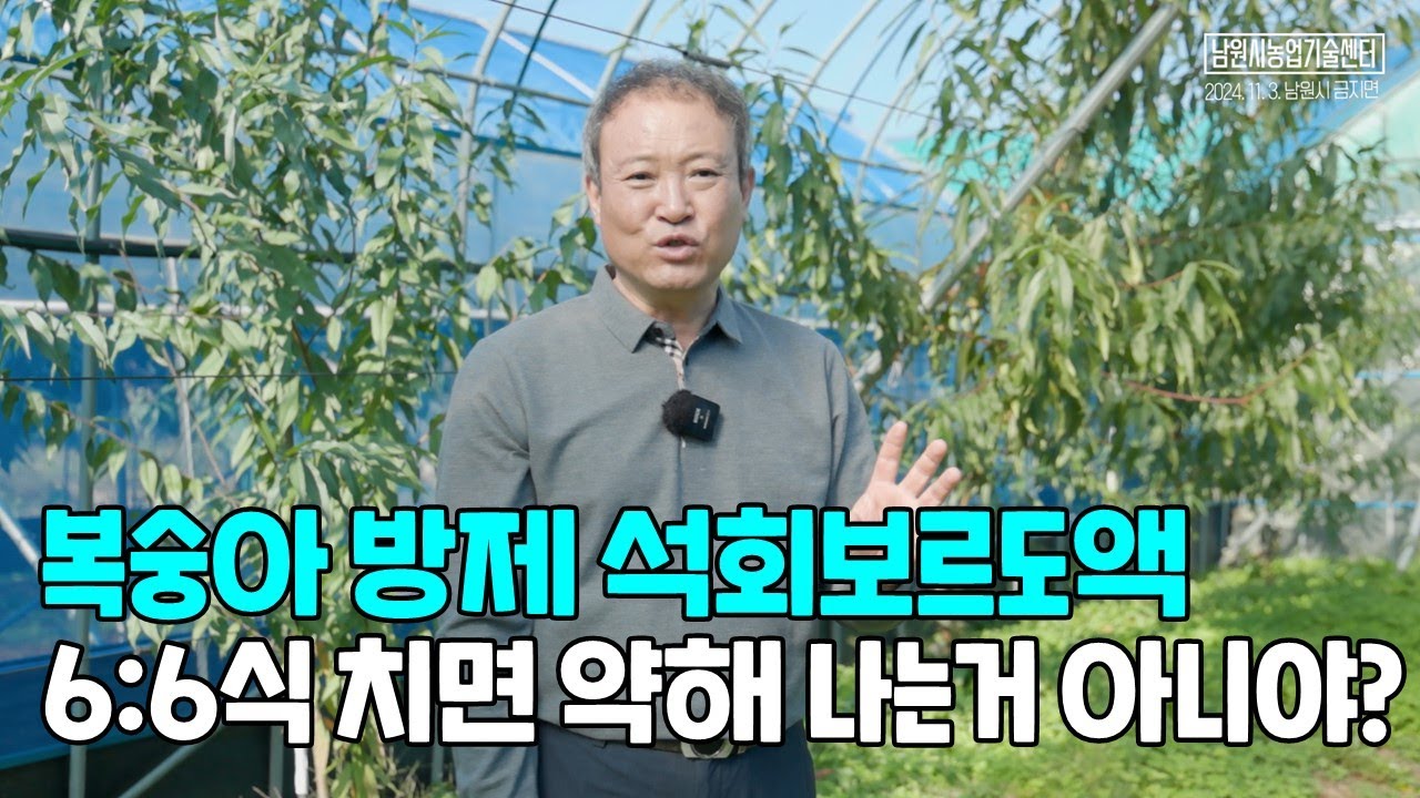 복숭아나무 방제 석회보르도액