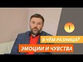 Эмоции и чувства. В чем между ними разница?