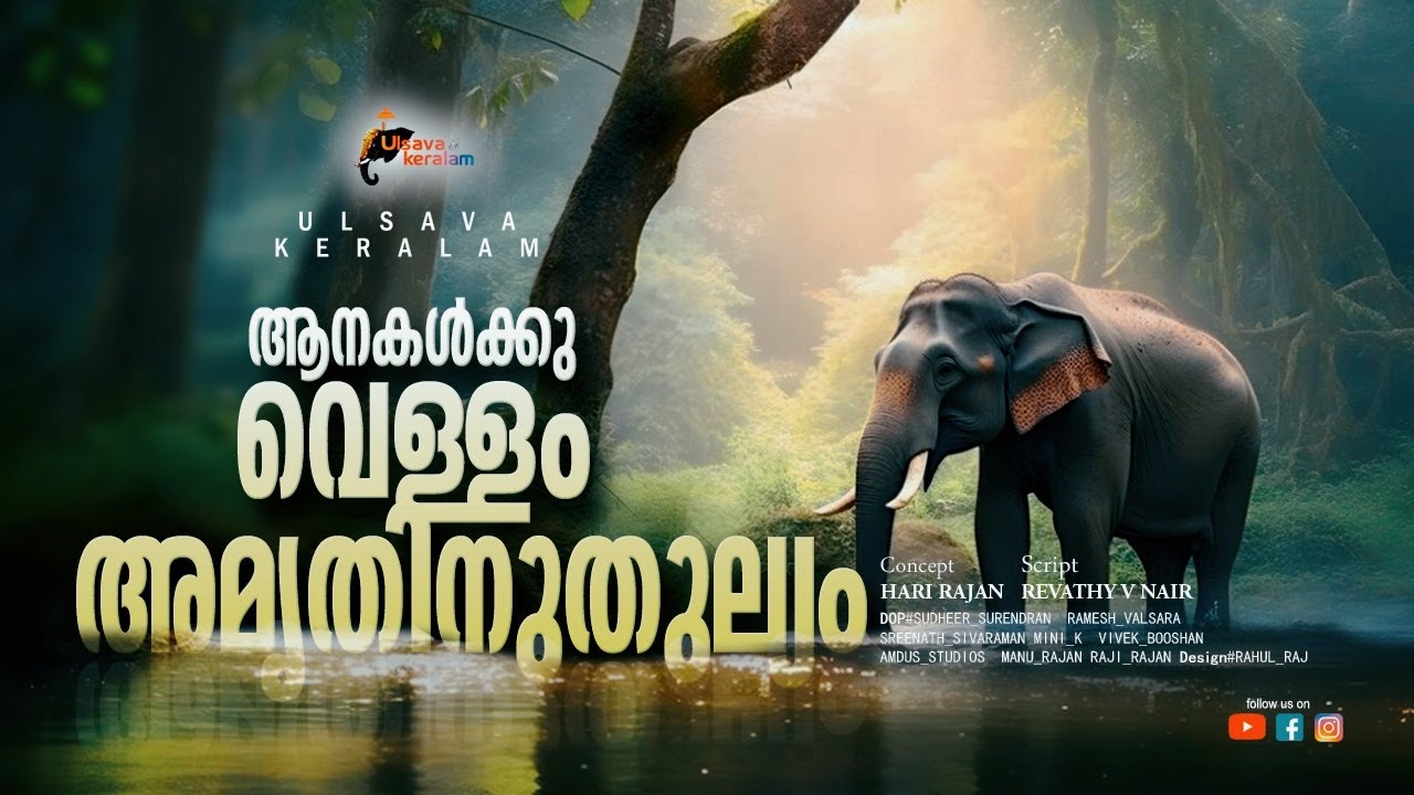 ആനകൾക്ക് എങ്ങനെ വെള്ളം കൊടുക്കണം എന്ന് രാമകൃഷ്‌ണേട്ടൻ |Kerala Elephant Thiruvambady kannan|EPI 212