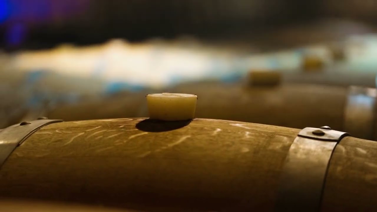 Falasco Wines - Harvest 2023