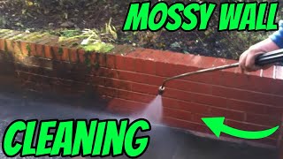 CLEANING A MOSSY WALL